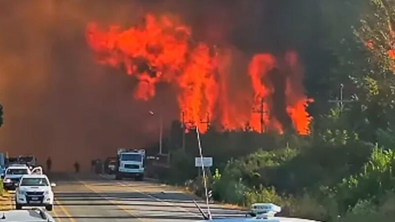 “Chubut en llamas: investigan un incendio forestal intencional”