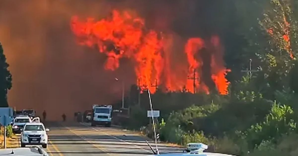 “Chubut en llamas: investigan un incendio forestal intencional”